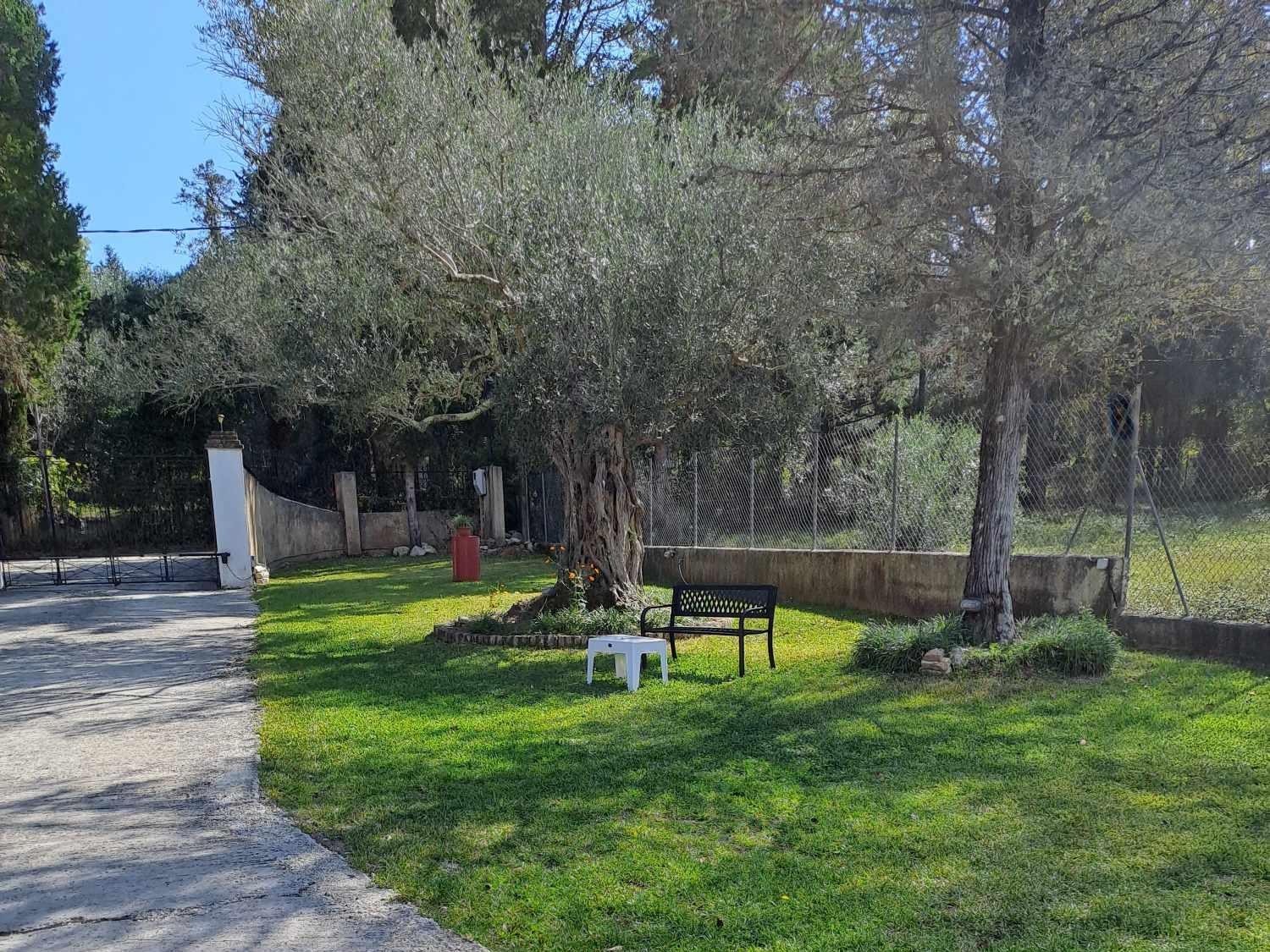 Villa Haris Gazátika Buitenkant foto